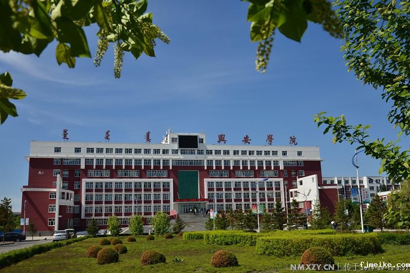 新利体育网站首页官网学院_副本.jpg