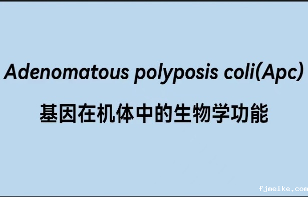 764705ff6b7fb4ccd0bd00adcb07a843.png