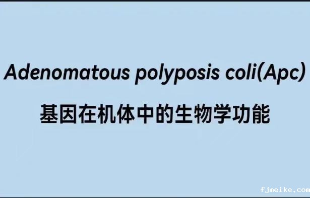 微信图片_20240602192310.jpg